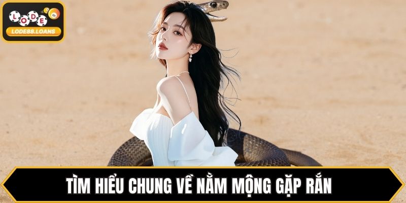 Tìm hiểu chung về nằm mộng gặp rắn